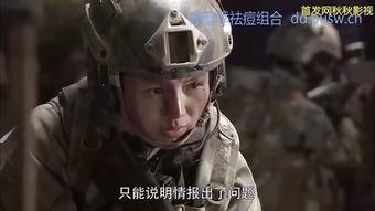 特总兵之火凤凰演员表,特总兵传奇，演员阵容星光熠熠
